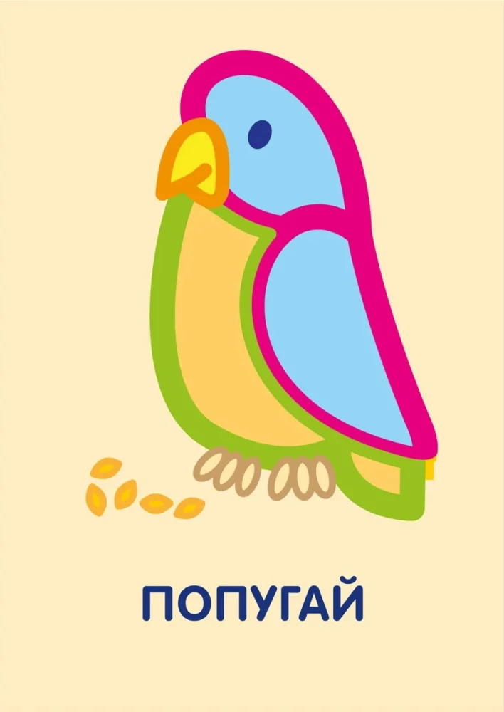 Pirmosios spalvinimo knygelės. Gyvūnai