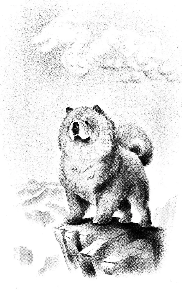 From Earth to Heaven. A Daoist Novel