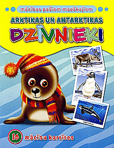 Lessons for the youngest. Animals of the Arctic and Antarctica (16 learning cards)