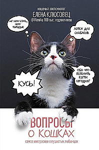 Вопросы о кошках. Самое интересное о пушистых любимцах