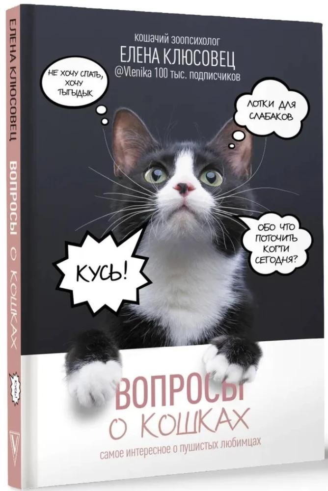 Вопросы о кошках. Самое интересное о пушистых любимцах