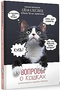 Вопросы о кошках. Самое интересное о пушистых любимцах