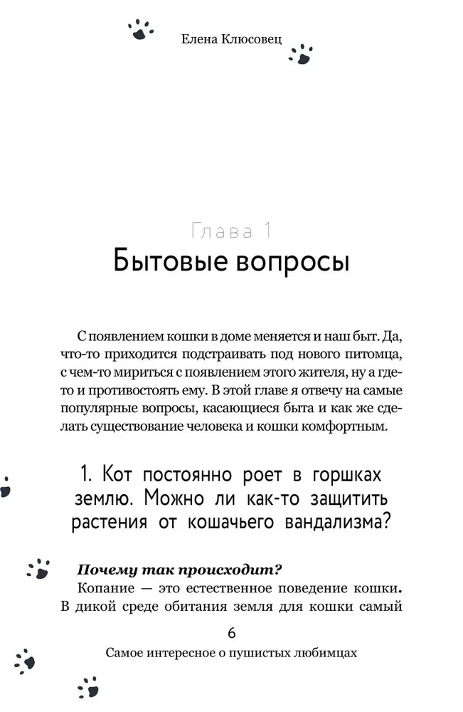 Вопросы о кошках. Самое интересное о пушистых любимцах