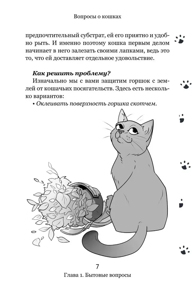 Вопросы о кошках. Самое интересное о пушистых любимцах