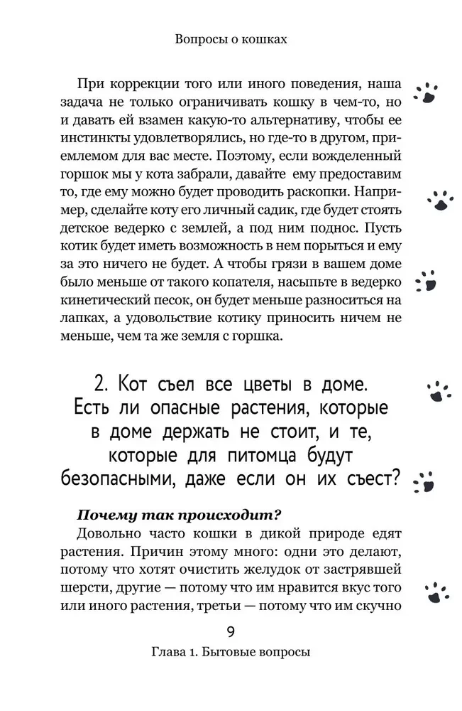 Вопросы о кошках. Самое интересное о пушистых любимцах