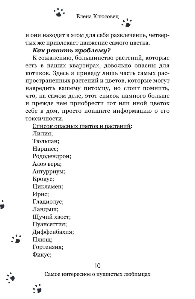 Вопросы о кошках. Самое интересное о пушистых любимцах