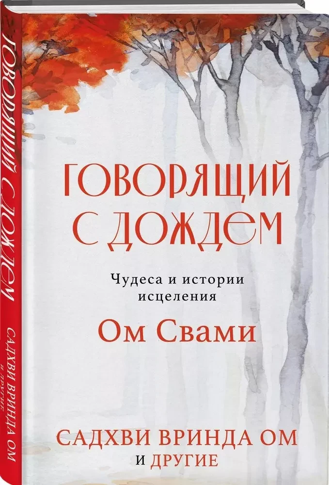 Говорящий с дождем. Чудеса и истории исцеления Ом Свами