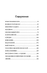 Говорящий с дождем. Чудеса и истории исцеления Ом Свами