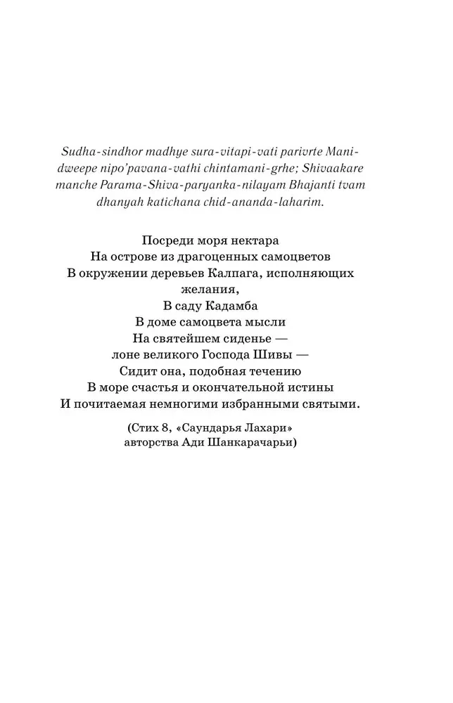 Говорящий с дождем. Чудеса и истории исцеления Ом Свами