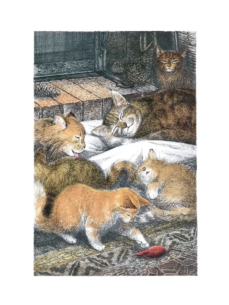 Amazing Alexander and the Winged Cats