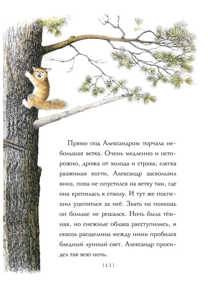 Amazing Alexander and the Winged Cats