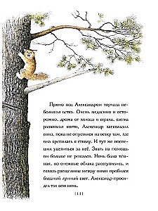 Amazing Alexander and the Winged Cats