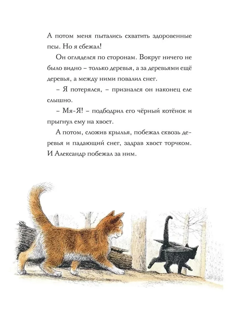Amazing Alexander and the Winged Cats