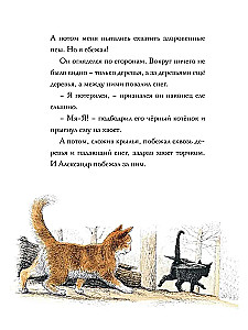 Amazing Alexander and the Winged Cats