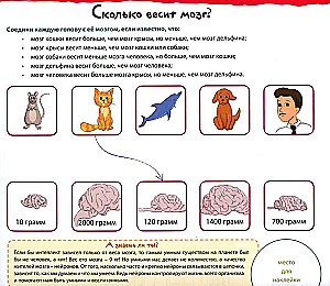 Academy of Meaning for Children. Train Your Brain