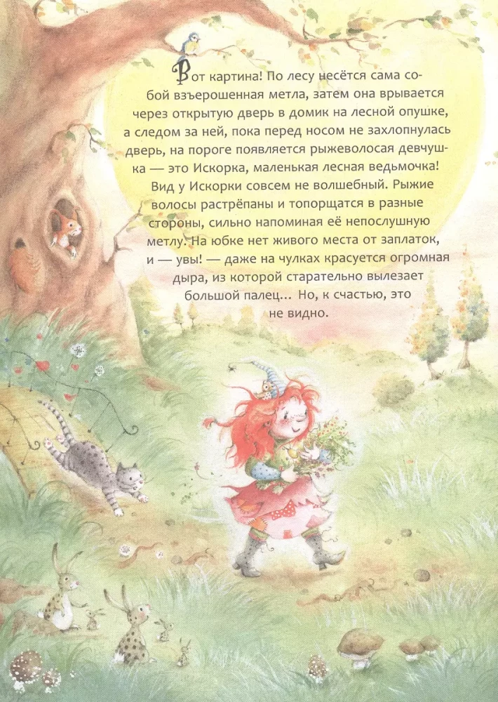 Funkel. Das große Abenteuerbuch