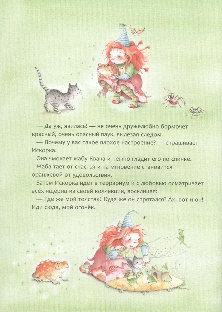 Funkel. Das große Abenteuerbuch