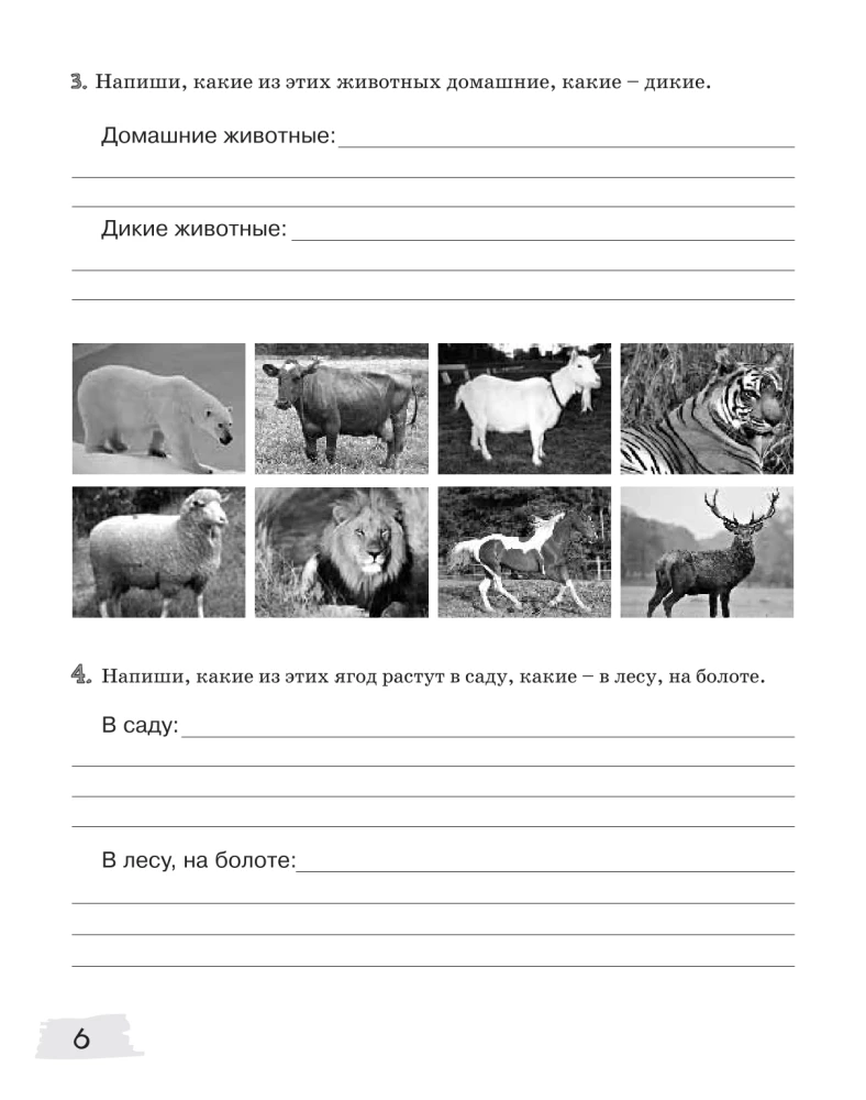 Origins-2. Workbook. 11-13 years