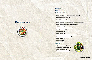 Salad Boom. Homemade and Modern Recipes