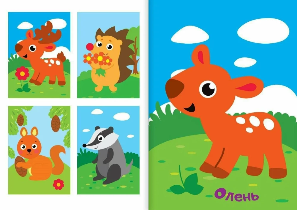 Sticker Application - Forest Animals