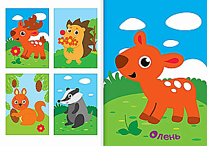 Sticker Application - Forest Animals