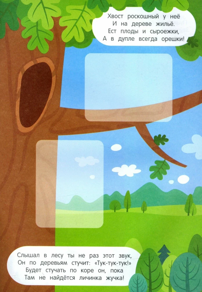 Riddles with Stickers. Let's Go to the Forest!
