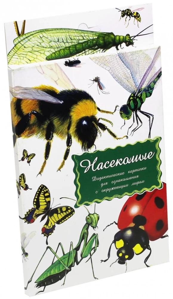 Karty dydaktyczne - Owady