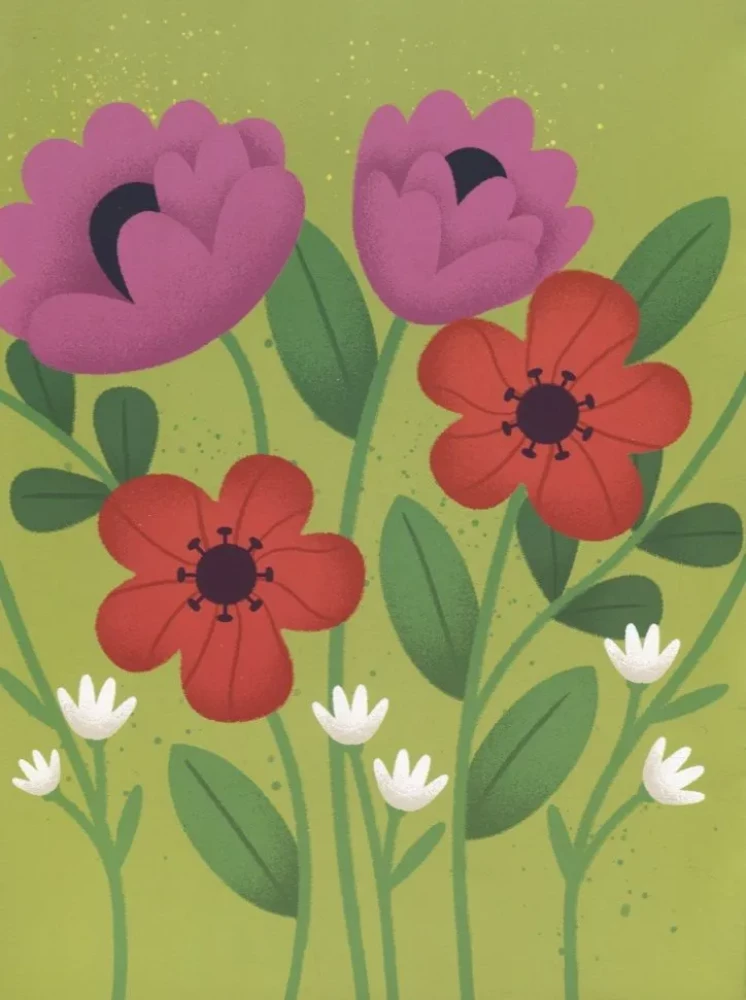 Plants. Clay Application