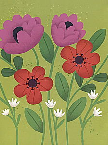 Plants. Clay Application