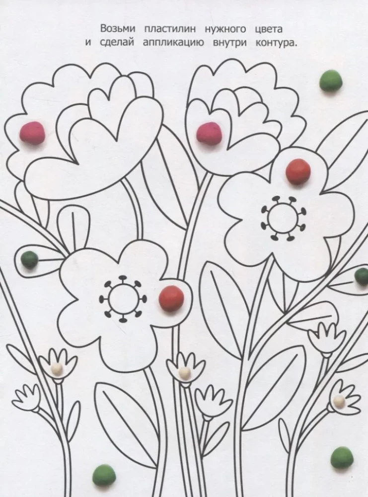 Plants. Clay Application