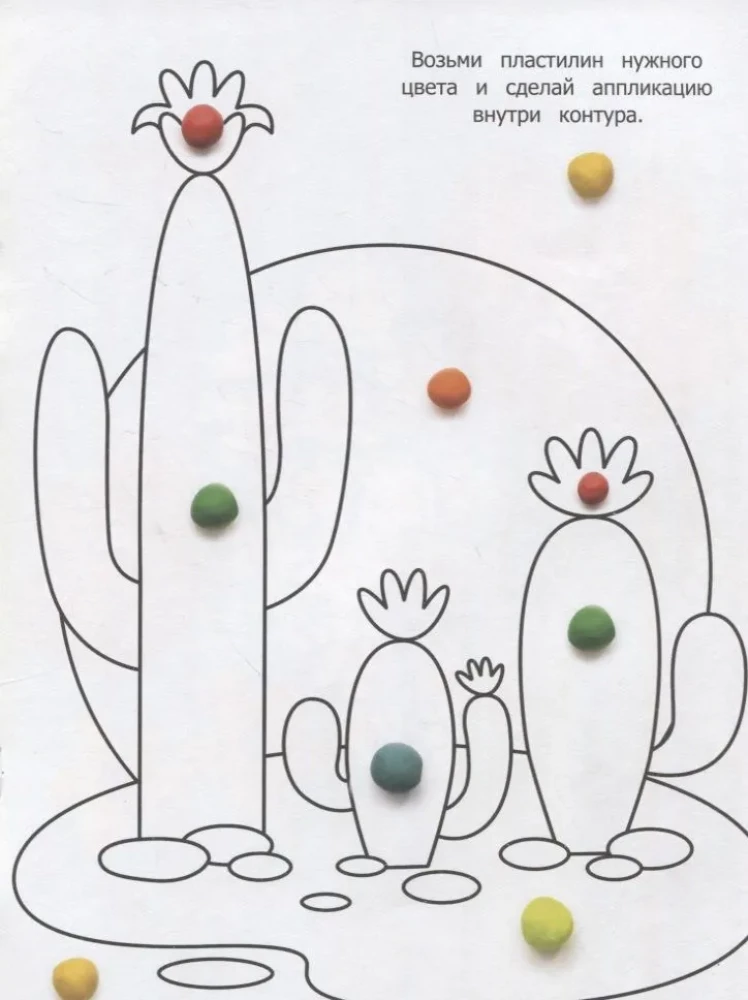 Plants. Clay Application