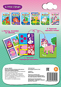 Sticker Application Book. For Girls