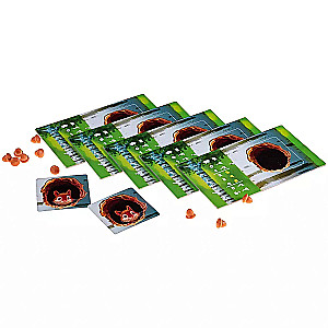 Board Game - Tail