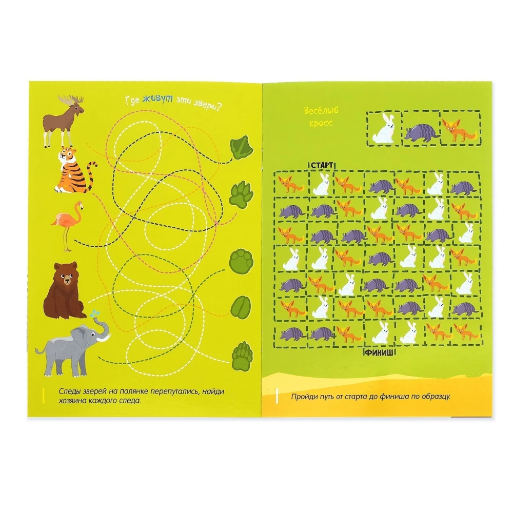 Marker Book - Write-Erase. Mazes and Confusions