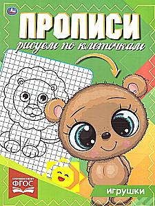 Workbooks to Draw by Squares. Toys
