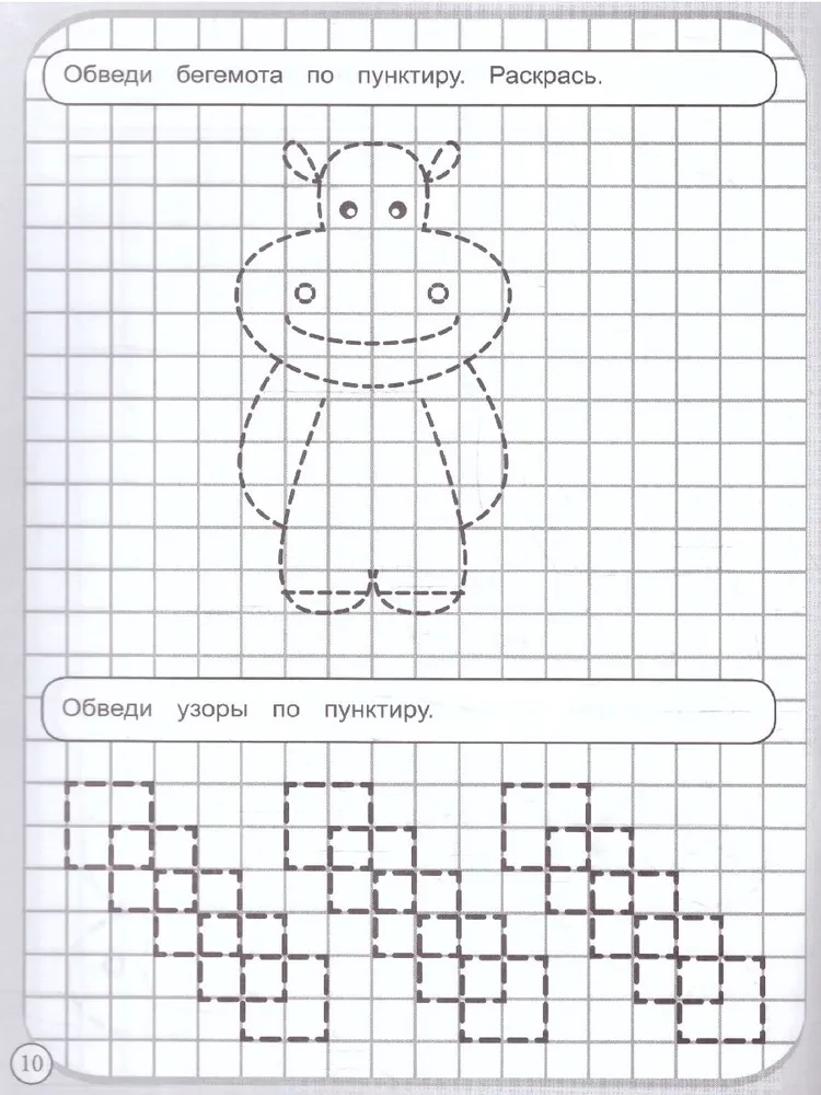 Workbooks to Draw by Squares. Toys