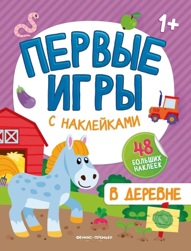 In the Village. Sticker Book