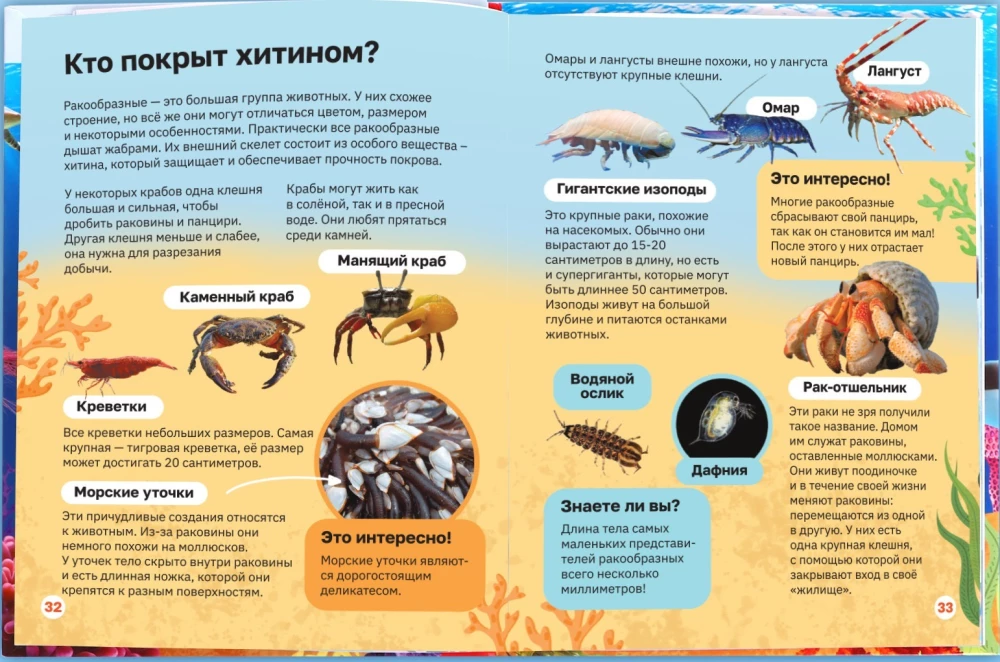 Encyclopedia in hardcover. Underwater world