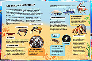 Encyclopedia in hardcover. Underwater world