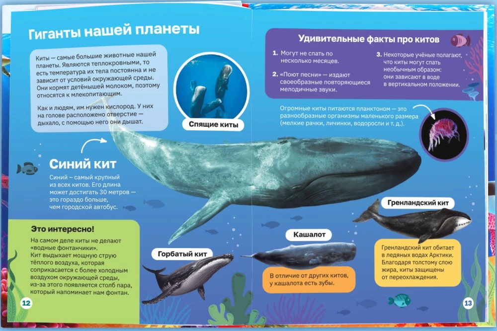 Encyclopedia in hardcover. Underwater world