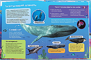 Encyclopedia in hardcover. Underwater world