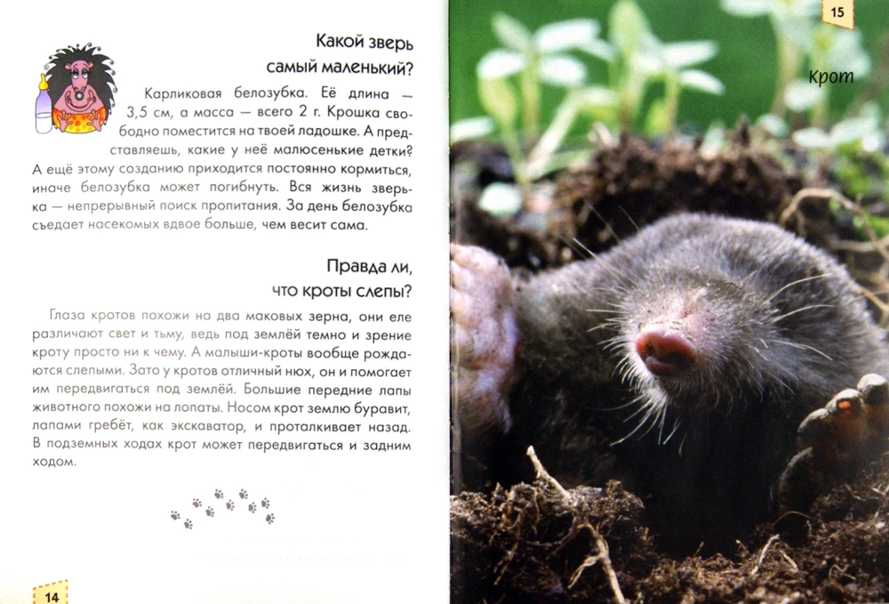 Encyclopedia for the Inquisitive. Moms and Babies
