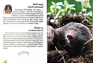 Encyclopedia for the Inquisitive. Moms and Babies