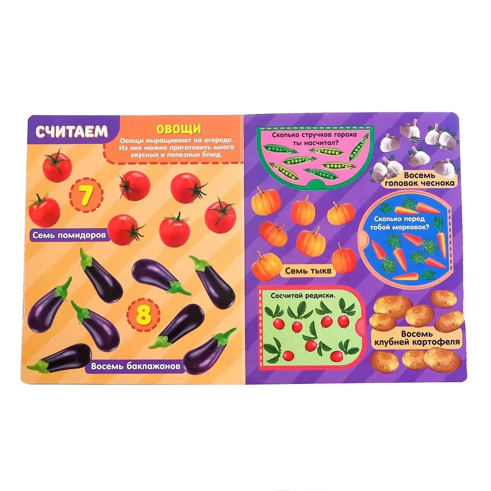 Smart Windows. Numbers. Developing Thinking. Training Motor Skills