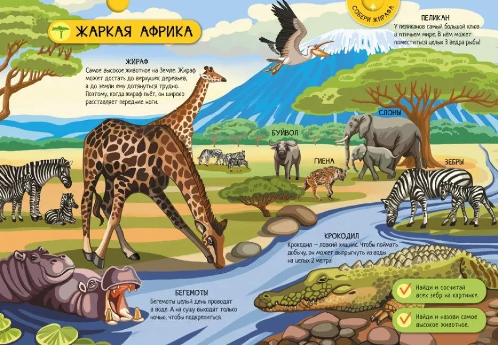 Animals of the World