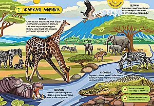 Animals of the World
