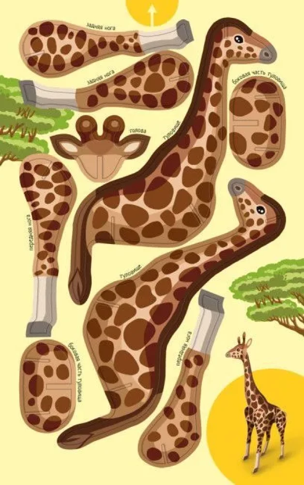Animals of the World