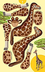 Animals of the World