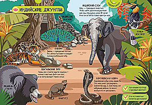 Animals of the World