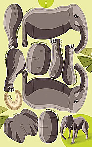 Animals of the World